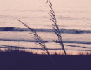 img edited