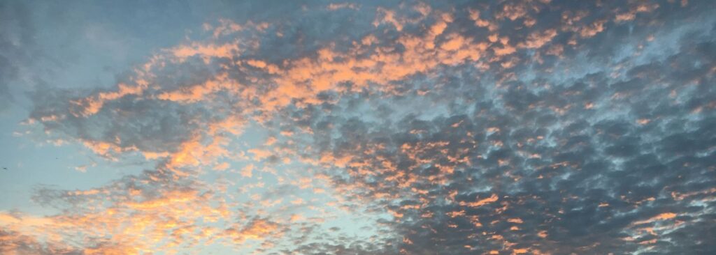 Photograph by Marina Vita from the album Looking to the Sky