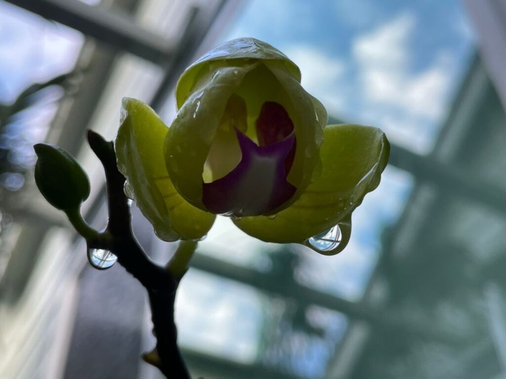 Photograph by Marina Vita from the album The Beauty of Nature