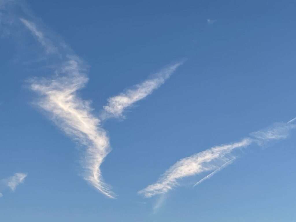 Photograph by Marina Vita from the album Looking to the Sky