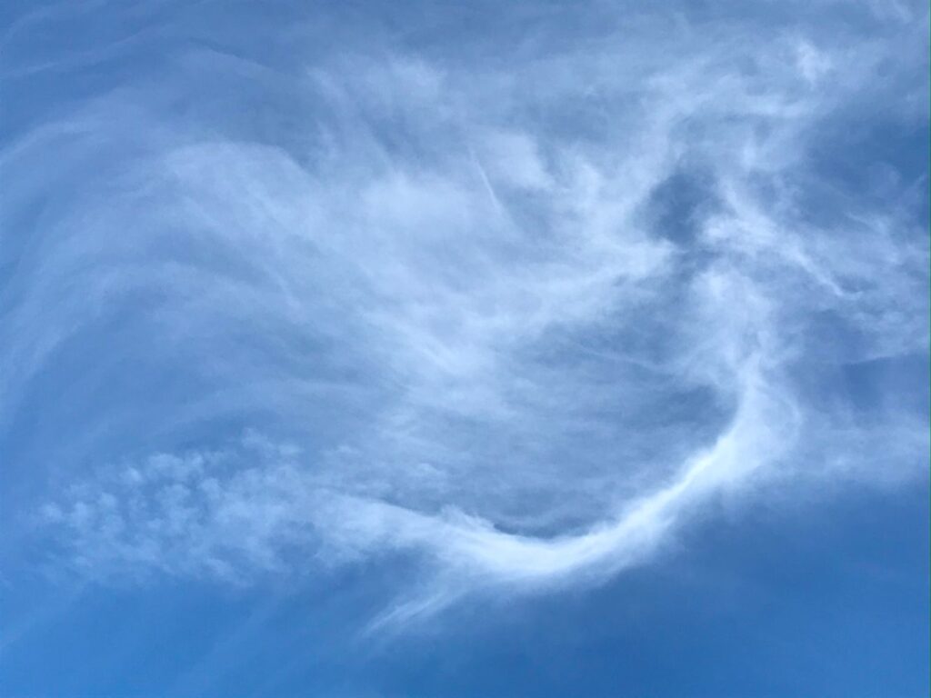 Photograph by Marina Vita from the album Looking to the Sky