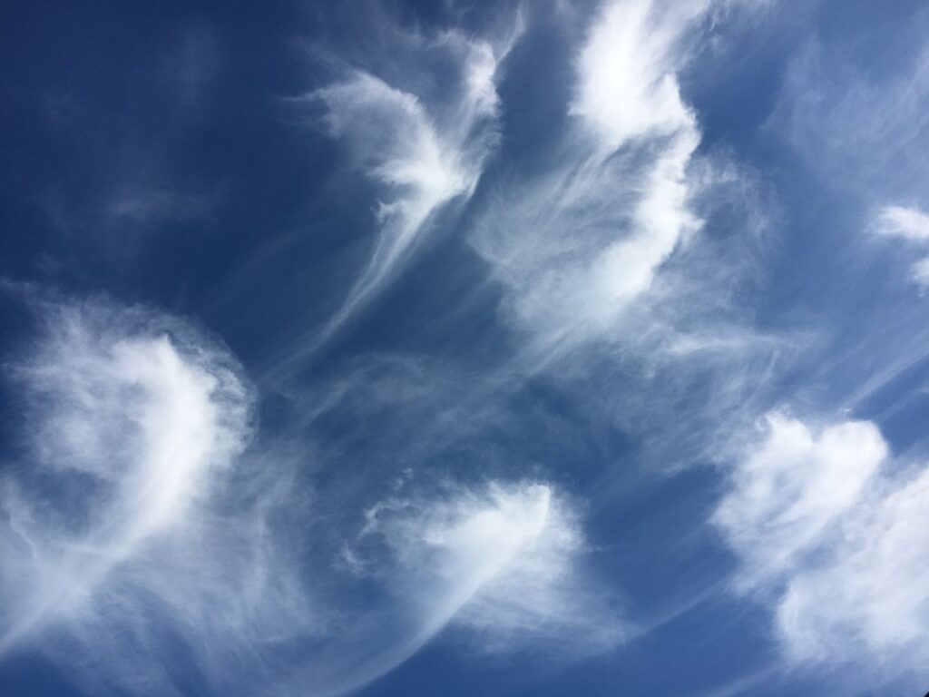 Photograph by Marina Vita from the album Looking to the Sky
