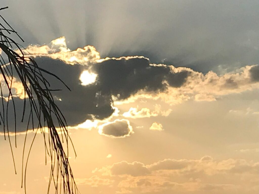 Photograph by Marina Vita from the album Looking to the Sky