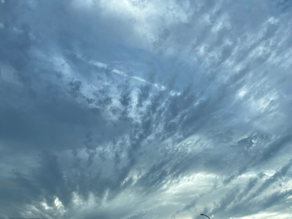 Photograph by Marina Vita from the album Looking to the Sky